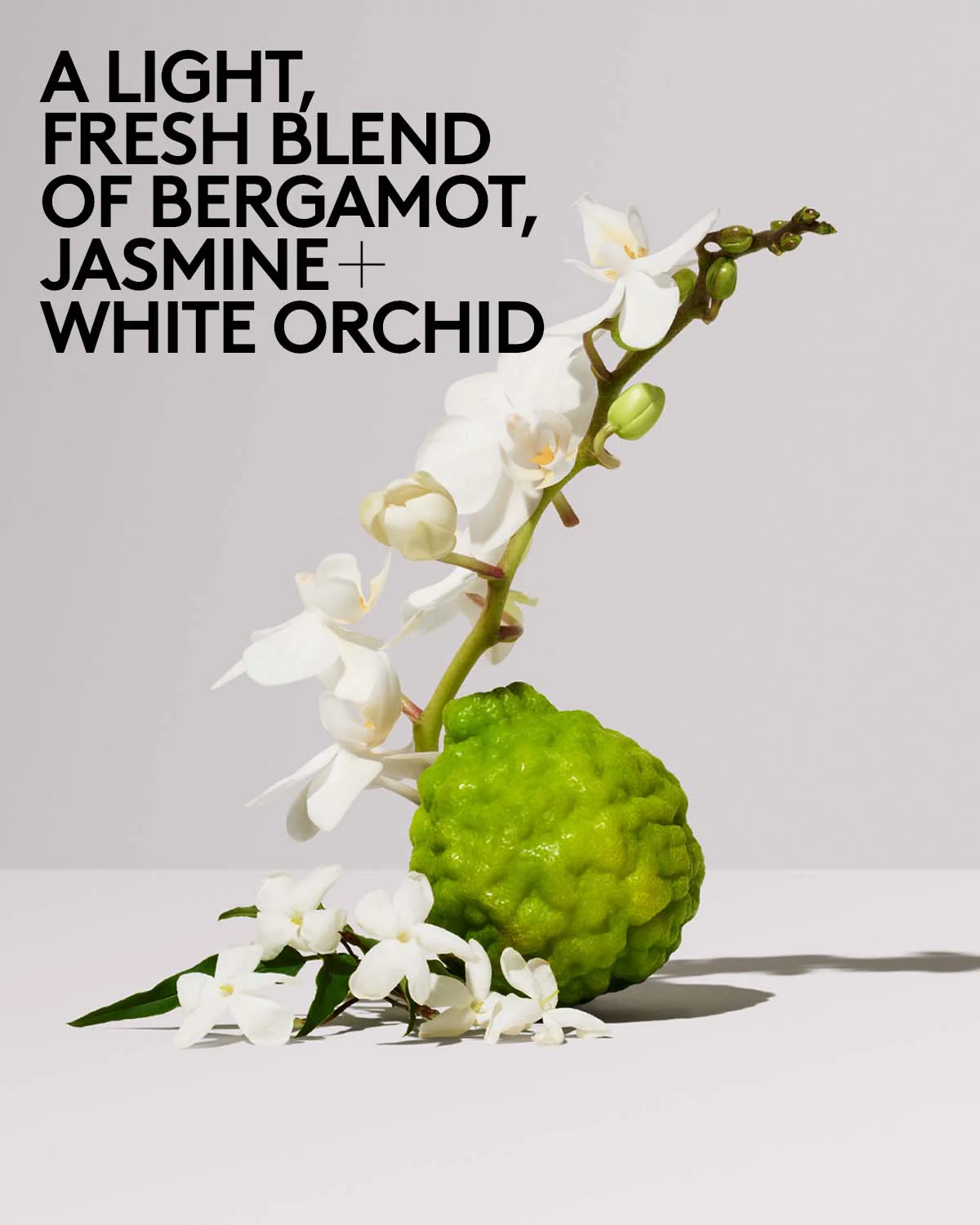 Butta Drop Hydrating Body Milk β Salted Caramel - Image 5